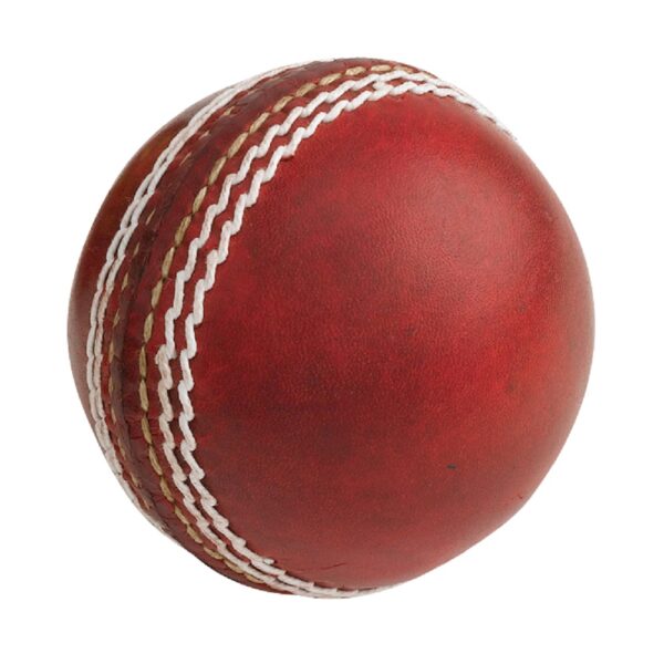 GRAY NICOLLS AUTOGRAPH BALL