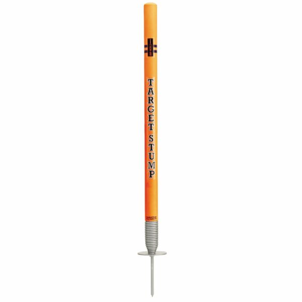 GRAY NICOLLS TARGET STUMP - SINGLE TIMBER