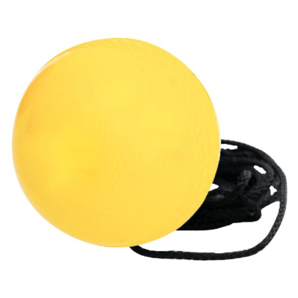 GRAY NICOLLS BATTING MASTER SOFT BALL