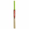 GRAY NICOLLS TECHNIQUE 55 TRAINING CRICKET BAT