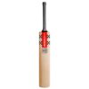 GRAY NICOLLS SILVER CRICKET BAT 2024-25