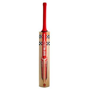 GRAY NICOLLS ASTRO 650 CRICKET BAT (PLAY NOW) 2024-25