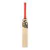 KOOKABURRA BEAST PRO PLAYERS CRICKET BAT 2024-25