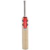 GRAY NICOLLS NOVA 2.0 XT (READY PLAY) KASHMIR CRICKET BAT 2024-25