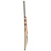 GRAY NICOLLS NOVA 2.0 XT (READY PLAY) KASHMIR CRICKET BAT 2024-25