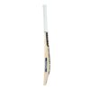 NEW BALANCE DC 800 CRICKET BAT 2024-25