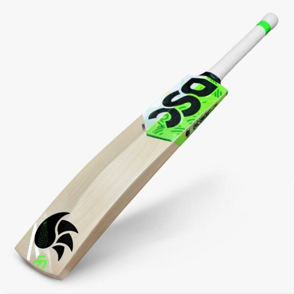 DSC SPLIIT 66 CRICKET BAT 2024-25