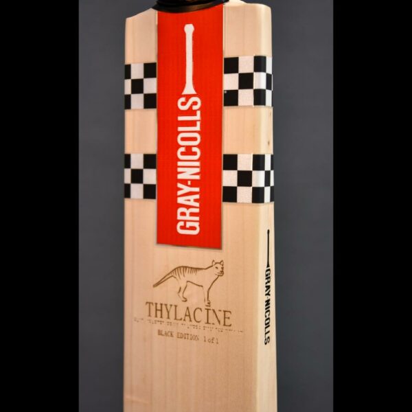 GRAY NICOLLS THYLACINE BLACK EDITION CRICKET BAT