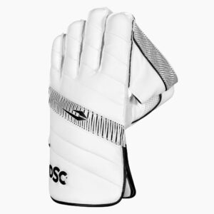 DSC BLAK 11 WICKETKEEPING GLOVES 2025-26