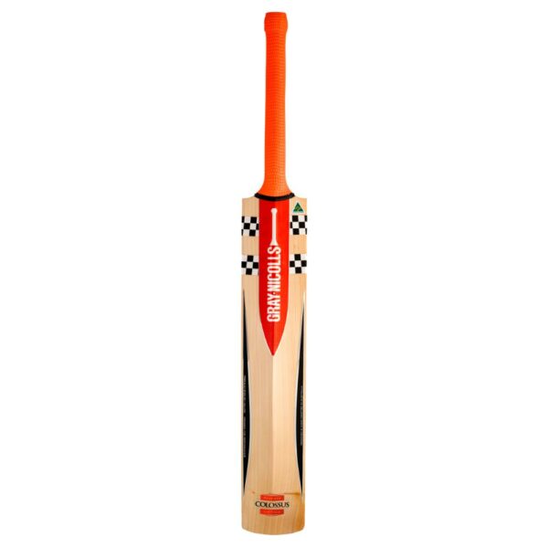 GRAY NICOLLS COLOSSUS CRICKET BAT 2025-26