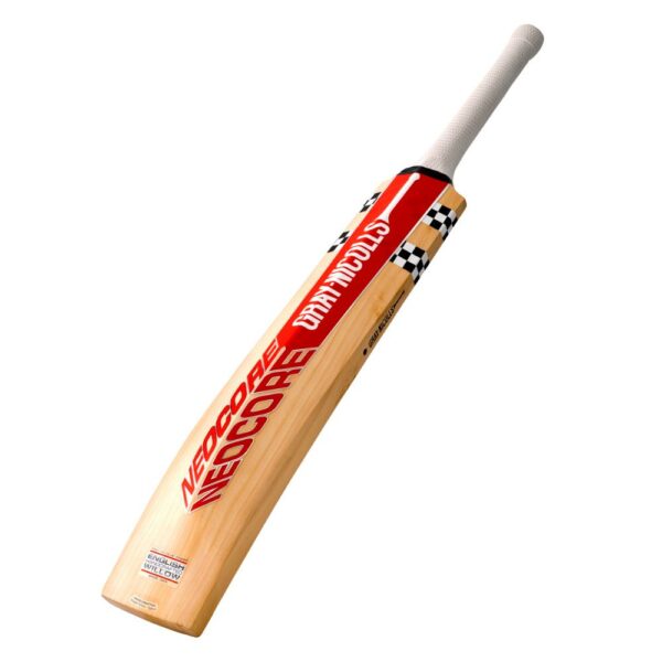GRAY NICOLLS GIANT CRICKET BAT 2025-26