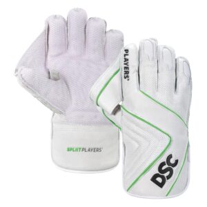 DSC SPLIIT PLAYERS WICKETKEEPING GLOVES 2026
