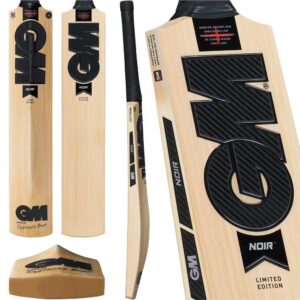 GM NOIR DXM 808 CRICKET BAT 2026