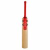 GRAY NICOLLS ASTRO 1300 CRICKET BAT 2023-24