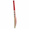 GRAY NICOLLS ASTRO 1300 CRICKET BAT 2023-24