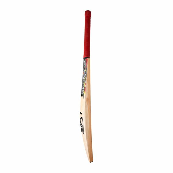 KOOKABURRA BEAST PRO 8.1 KASHMIR WILLOW CRICKET BAT 2022-23