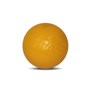 BUFFALO SPORTS KWICK CRICKET DEVELOPMENT PVC BALL JUNIOR