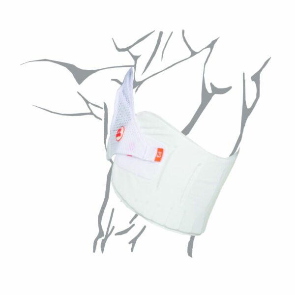 AERO P3 CHEST PROTECTOR