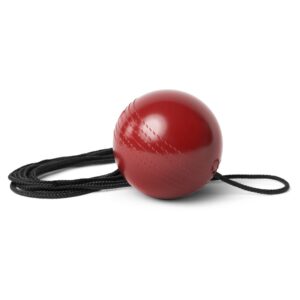 SKLZ CRICKET BATBALL TRAINER