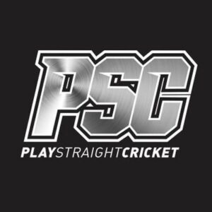 Play Straight Cricket