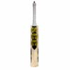 SCC SUPREMACY 2.0 CRICKET BAT 2023-24