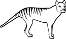 Thylacine Loyalty Points